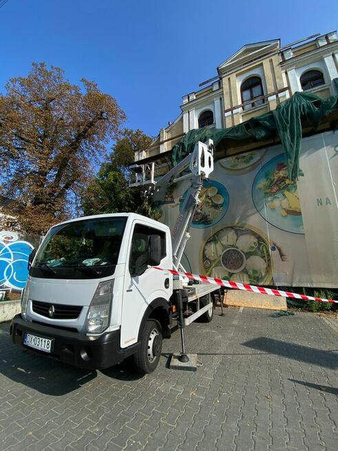 WYCINKA/PIELEGNACJA DRZEW WROCŁAW