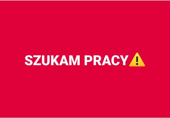 Szukam pracy pilnie!