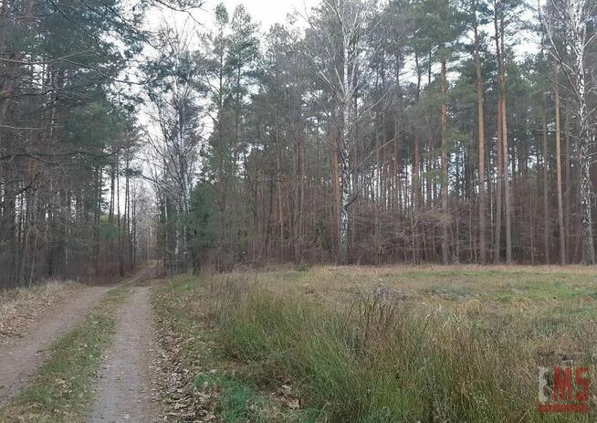 Działka rolno-budowlana Niewodnica Nargilewska-kolonia gm. Juchnowiec Kościelny
