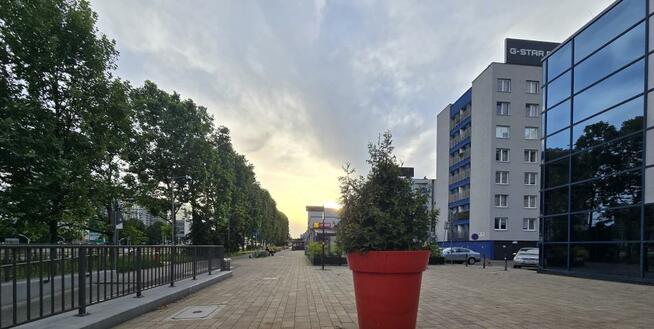 Lokal użytkowy Katowice Centrum, Koszutka, Michała Grażyńskiego