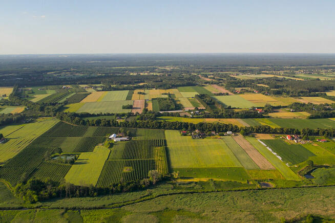 ✅Sprawdź >>>Działki w Nowych Paskach, sama natura✅