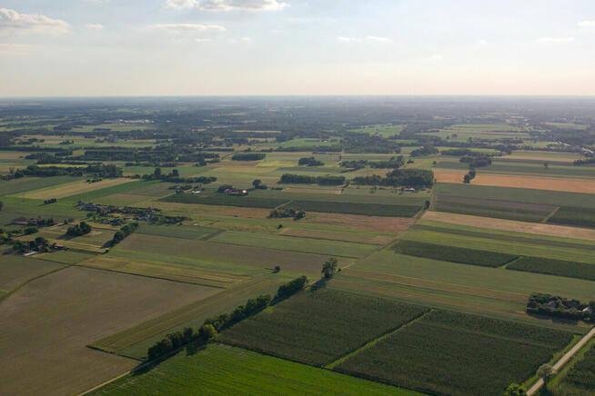 ✅Sprawdź >>>Działki w Nowych Paskach, sama natura✅