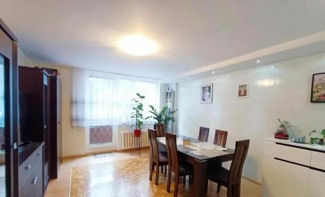 Mieszkanie dwupokojowe na sprzedaż