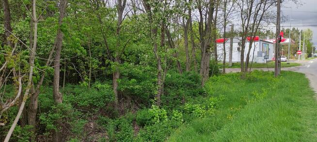 Działka w Józefowie na sprzedaż