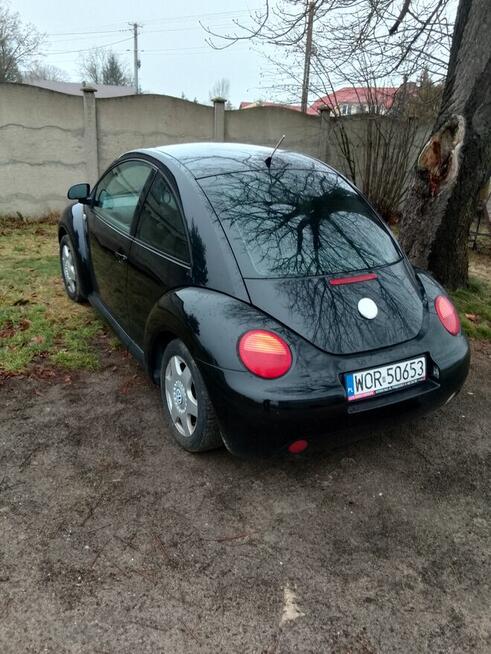 New Beetle