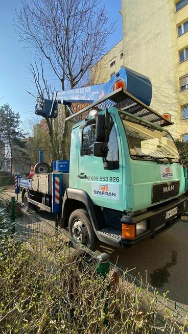 WYCINKA/PIELEGNACJA DRZEW WROCŁAW