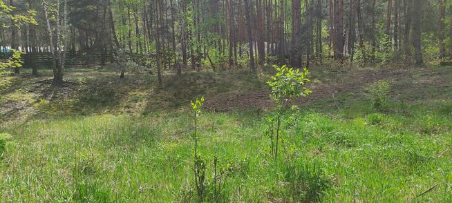 Działka w Józefowie na sprzedaż