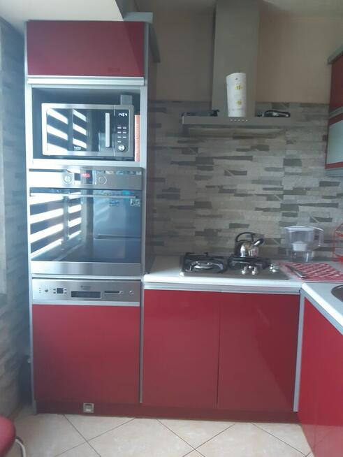 do wynajęcia mieszkanie