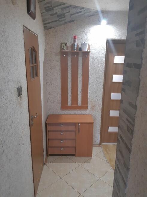 do wynajęcia mieszkanie