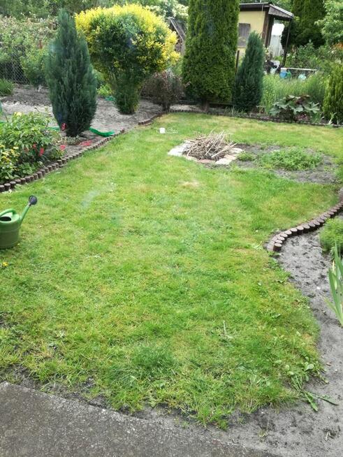 Działka rod Szczecin Wielgowo