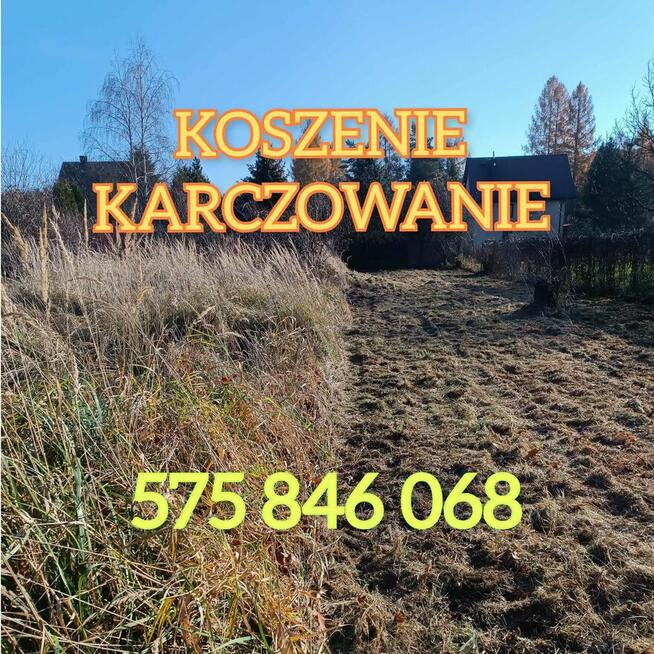 Koszenie trawy, nieużytków, kosiarka bijakowa, karczowanie