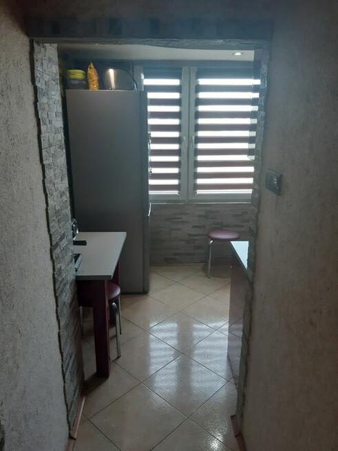 do wynajęcia mieszkanie