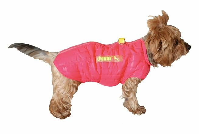 Praktyczne ubranko , kubraczek dla pieska - różne rozmiary