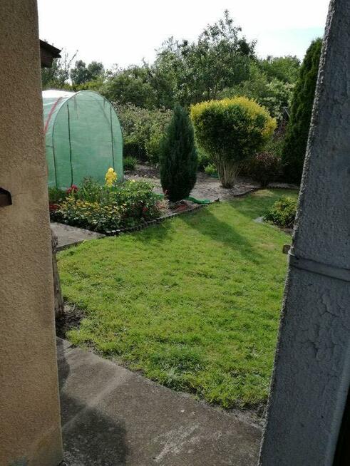 Działka rod Szczecin Wielgowo