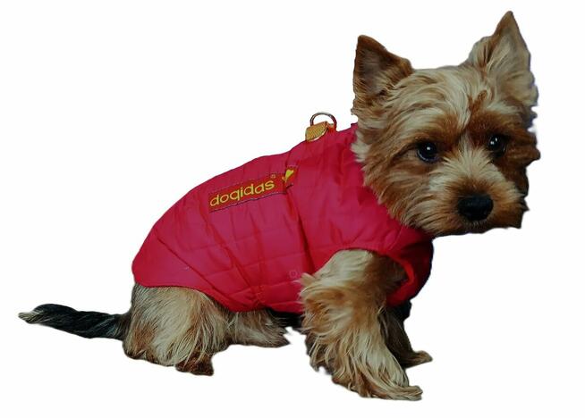 Praktyczne ubranko , kubraczek dla pieska - różne rozmiary