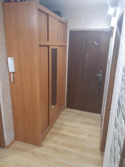 do wynajęcia mieszkanie