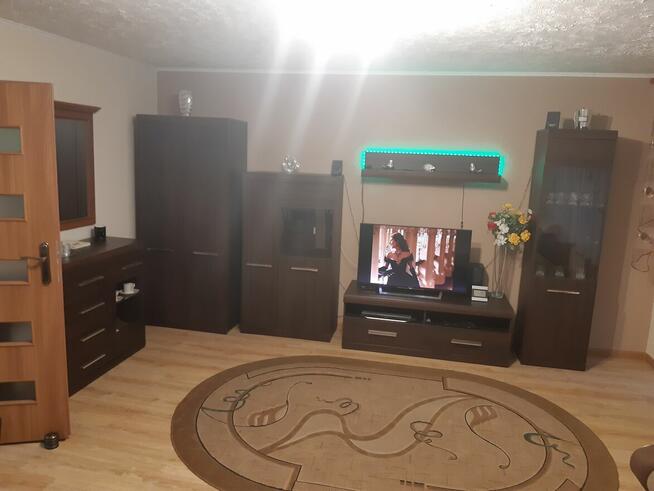 do wynajęcia mieszkanie