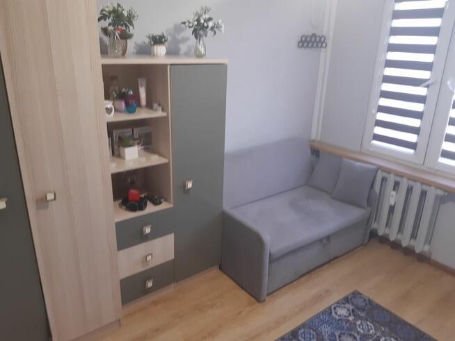 do wynajęcia mieszkanie