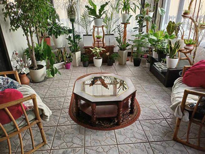 Stolik ława stylowy