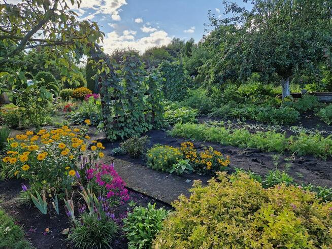 Działka rod Szczecin Wielgowo