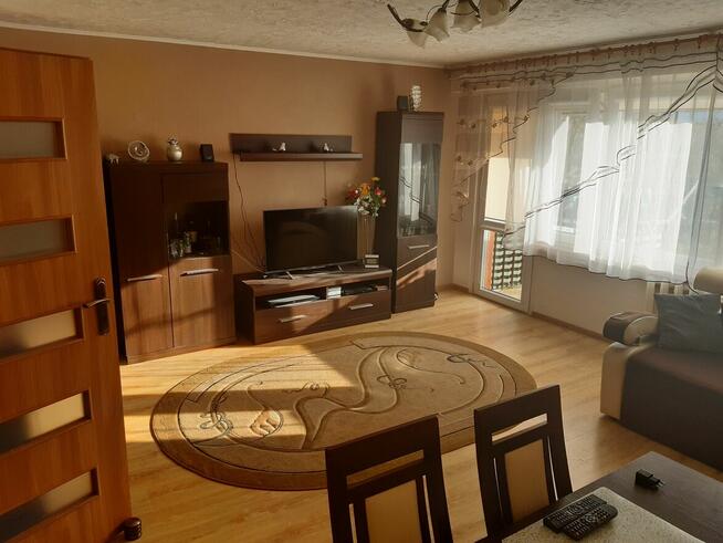 do wynajęcia mieszkanie