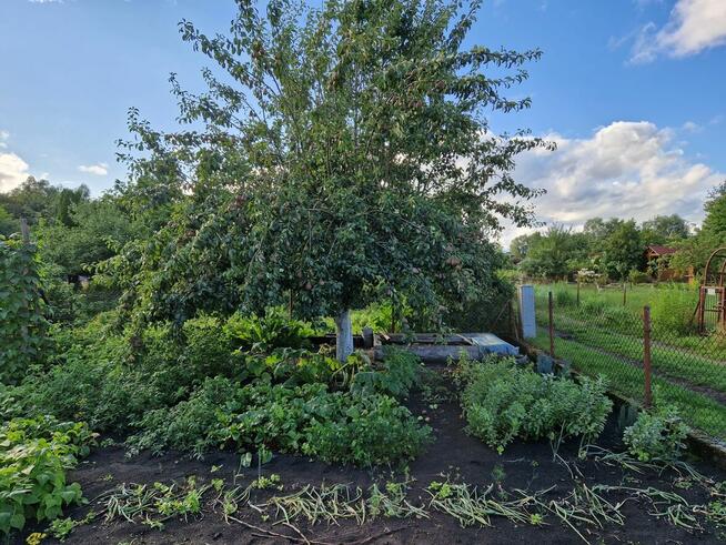 Działka rod Szczecin Wielgowo