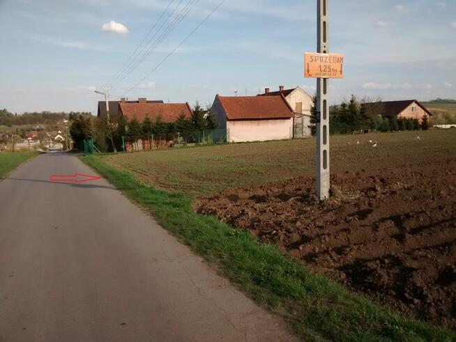 Działka rolno-budowlana Kazimierza Wielka / Odonów.125 arów