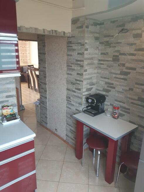 do wynajęcia mieszkanie