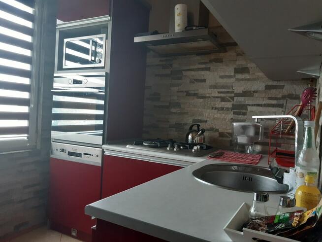 do wynajęcia mieszkanie