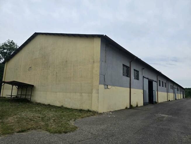 8 budynków produkcyjno - magazynowo - biurowych w Białogard
