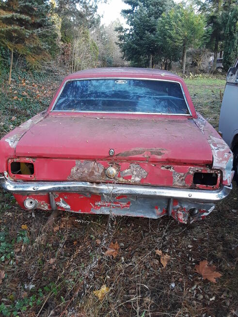 Auta, motory, łodzie i inne maszyny z USA na zamówienie