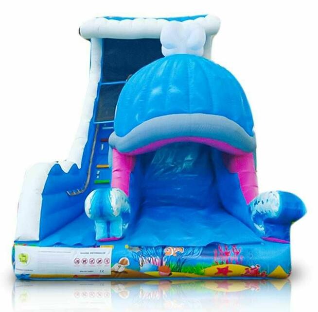 Zamek dmuchany Dmuchaniec Zjeżdżalnia na Urodziny Festyny