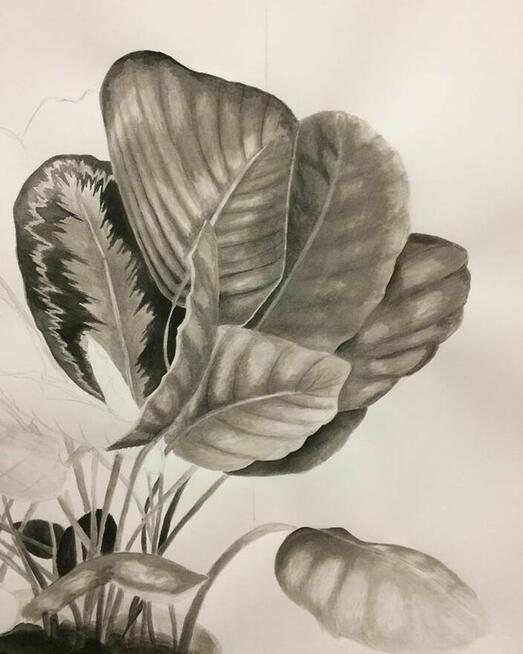 Profesjonalne kursy rysunku i malarstwa