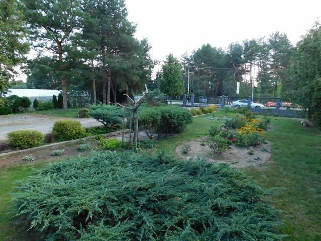 Działka inwestycyjna 750m2 w Otrębusach przy DW719
