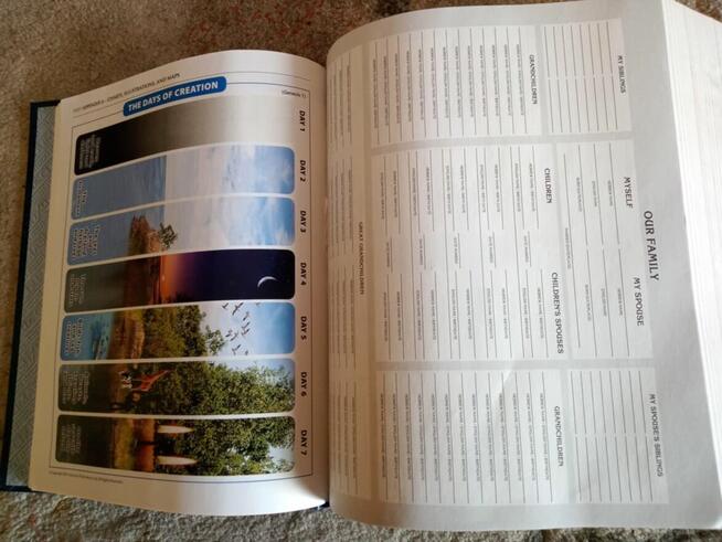 The Stone Edition Chumash Judaika