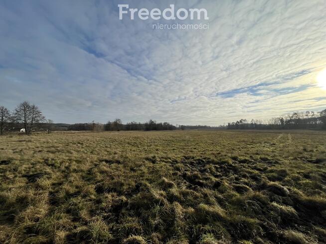 Działka przy lesie-4206m2 - Różankowo Świerczyny