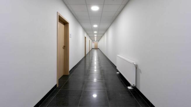 Biuro / Lokal 40m2 / Centrum Elbląga / Czyste / Tanie