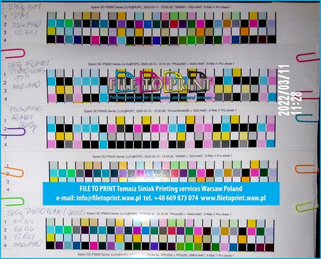 ProofMaster licencja wieczysta perpetual EPSON SC-S80600