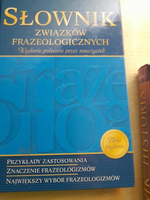 Słowniki do szkoły Złote wydanie