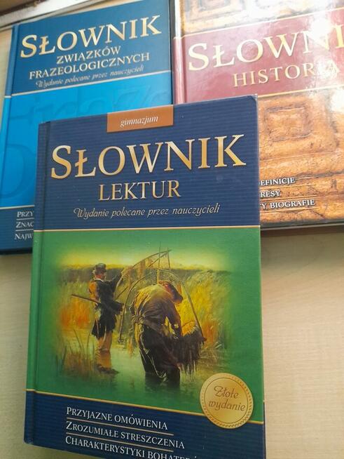 Słowniki do szkoły Złote wydanie