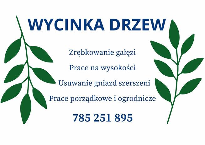 Wycinka drzew- koparka - wywrotka