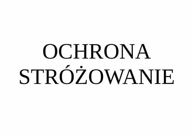 Szukam pracy. Stróżowanie, ochrona, dozór.