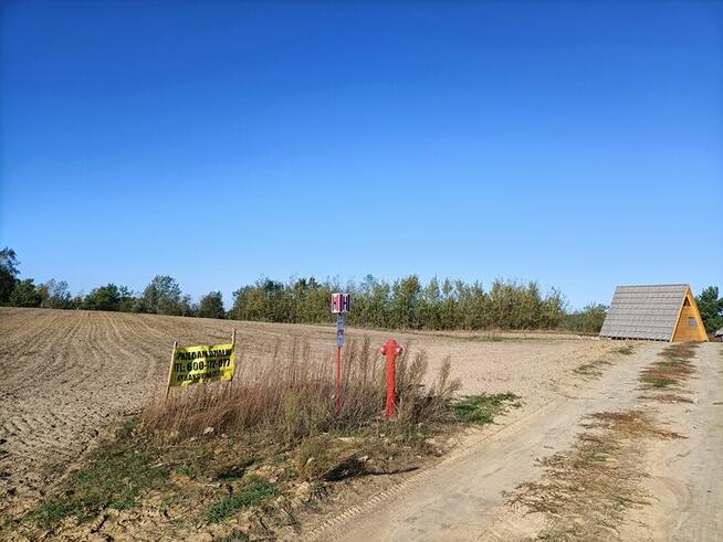 Urokliwe miejsce nad Jeziorem Głuszyńskim