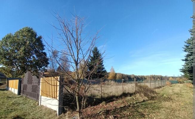 Duża działka 3004m2 w Zbuczynie
