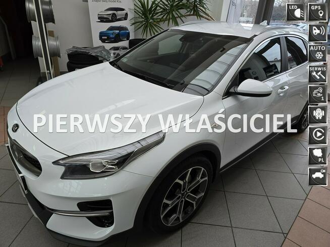 XCEED 1.5T-GDI Automat, Krajowy, Pierwszy właściciel, Bezwypadkowy