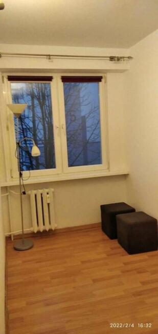 Do wynajęcia od już mieszkanie Golub Dobrzyn