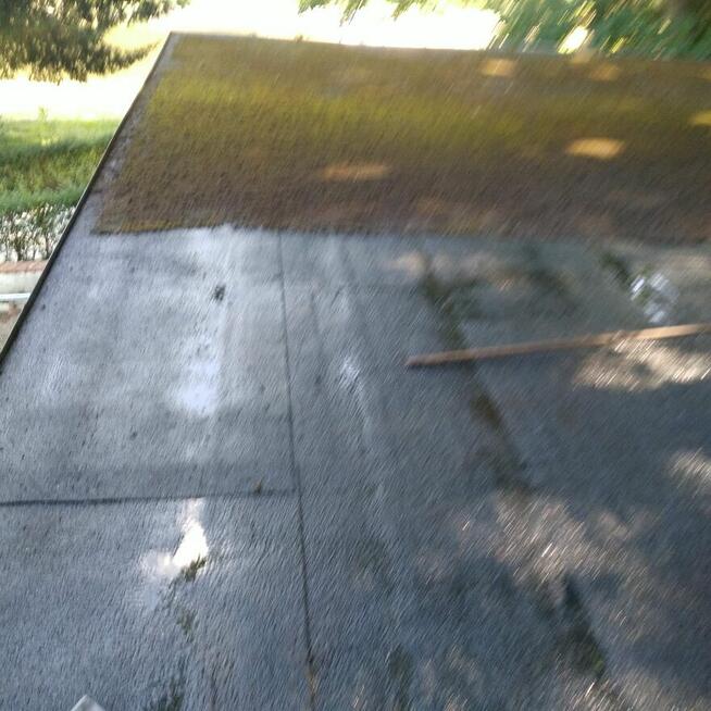 Mycie odgrzybianie kostki brukowej, elewacji i dachu