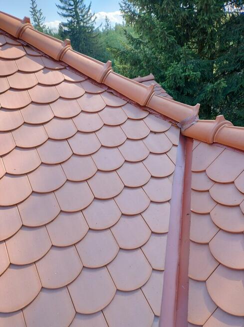 Mycie odgrzybianie kostki brukowej, elewacji i dachu