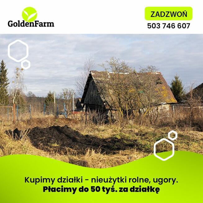 Dzierżawa gruntów od 10 arów!!