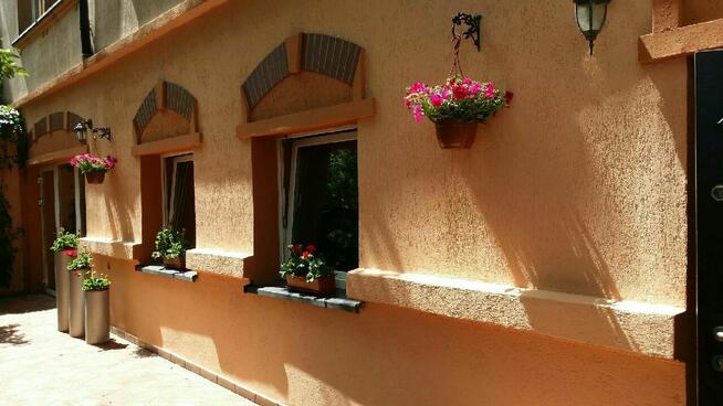 Wynajmę lub sprzedam